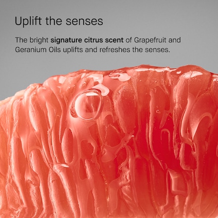 Vitamin Enriched Smoothing Serum